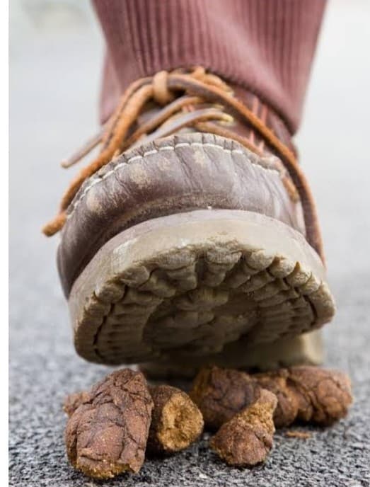 Liquid ASS Butt CRACK FART SMELL SPRAY 💩  FREE SH SALE! $11.15 EA 3