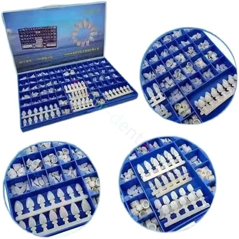 Dental Polyycarbonate Temporary Crowns 66 Size Box 360 Pcs W Paper Guide Chart 3