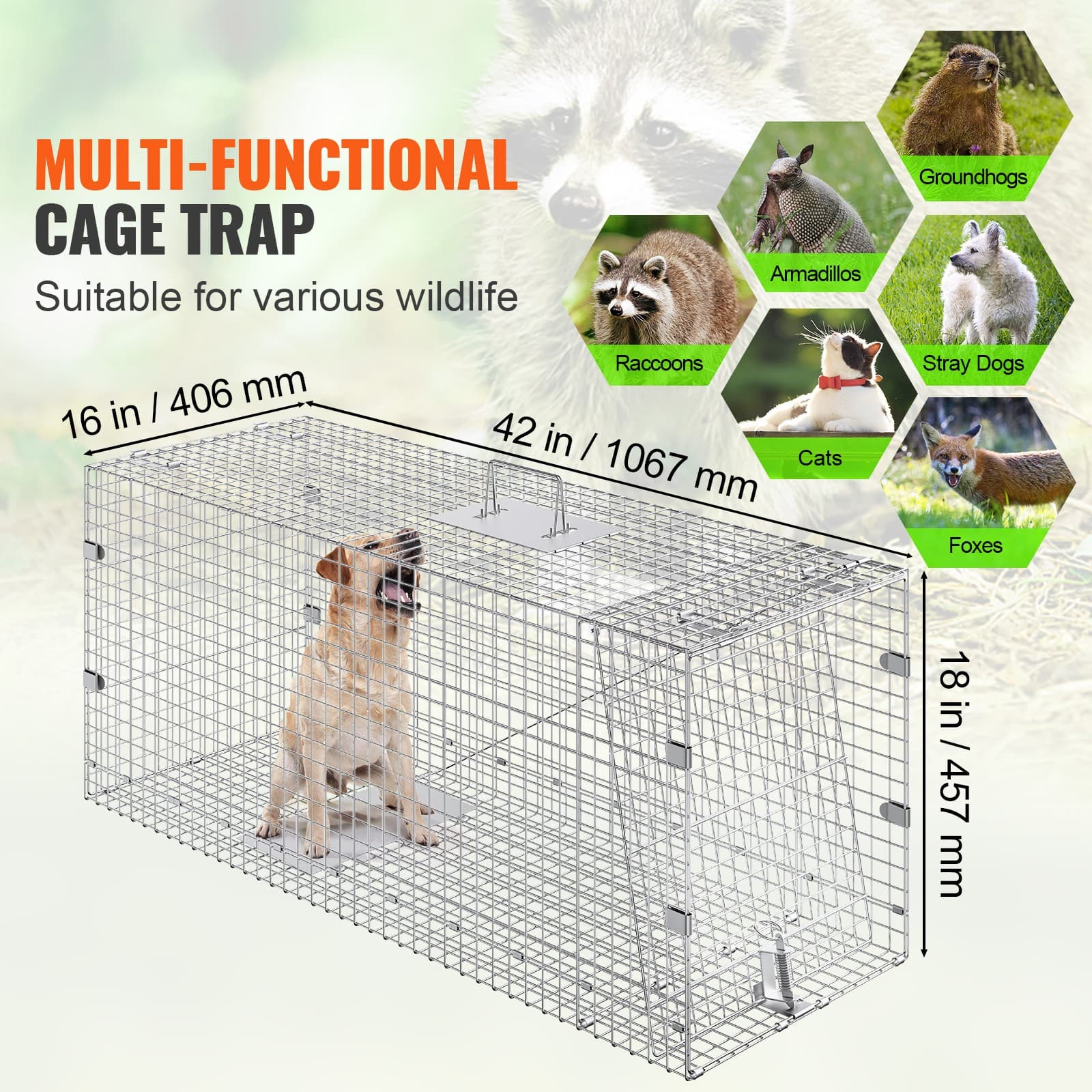 Live Animal Cage Trap 42" x 16" x 18" Humane Cat Trap Cats Squirrels Mouse 2