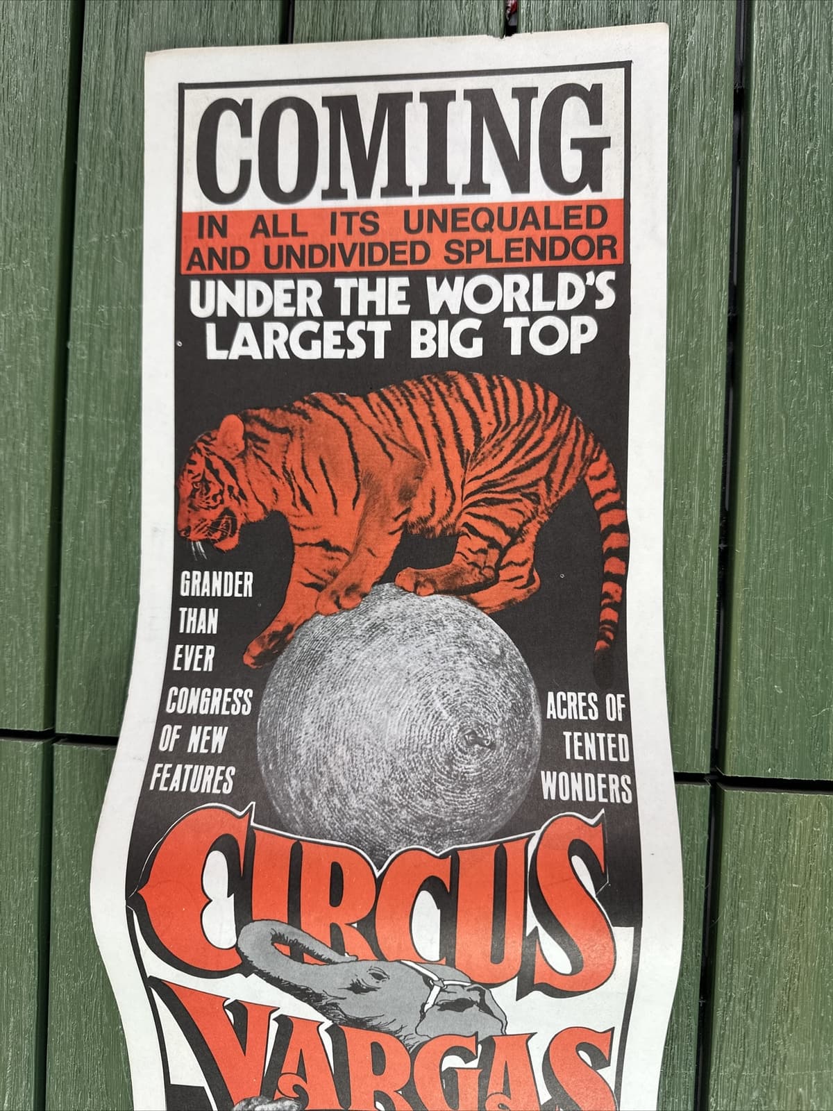 Circus Vargas Tiger ORIGINAL Vintage 1976 Poster 7" By 22" 2