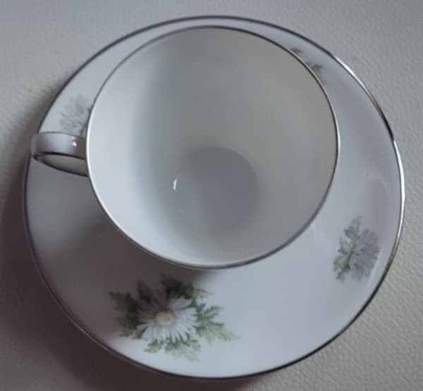 2 Pcs. Teacup  Saucer Set Silver Thistle Franconia Flowers Selb Bavaria 2