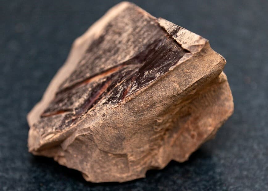 BULK 1.22kg Tribal Moon Ceremonial Grade Cacao - ON SALE NOW 5