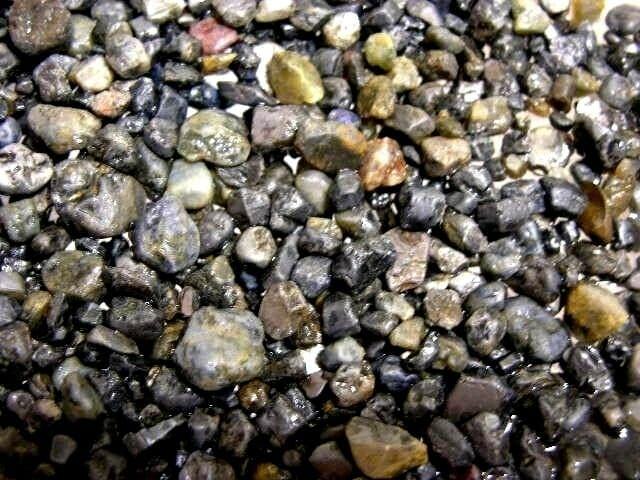 Sapphire crystal untreated mixed grade mine rough 1/4 pound 50+ pieces 3