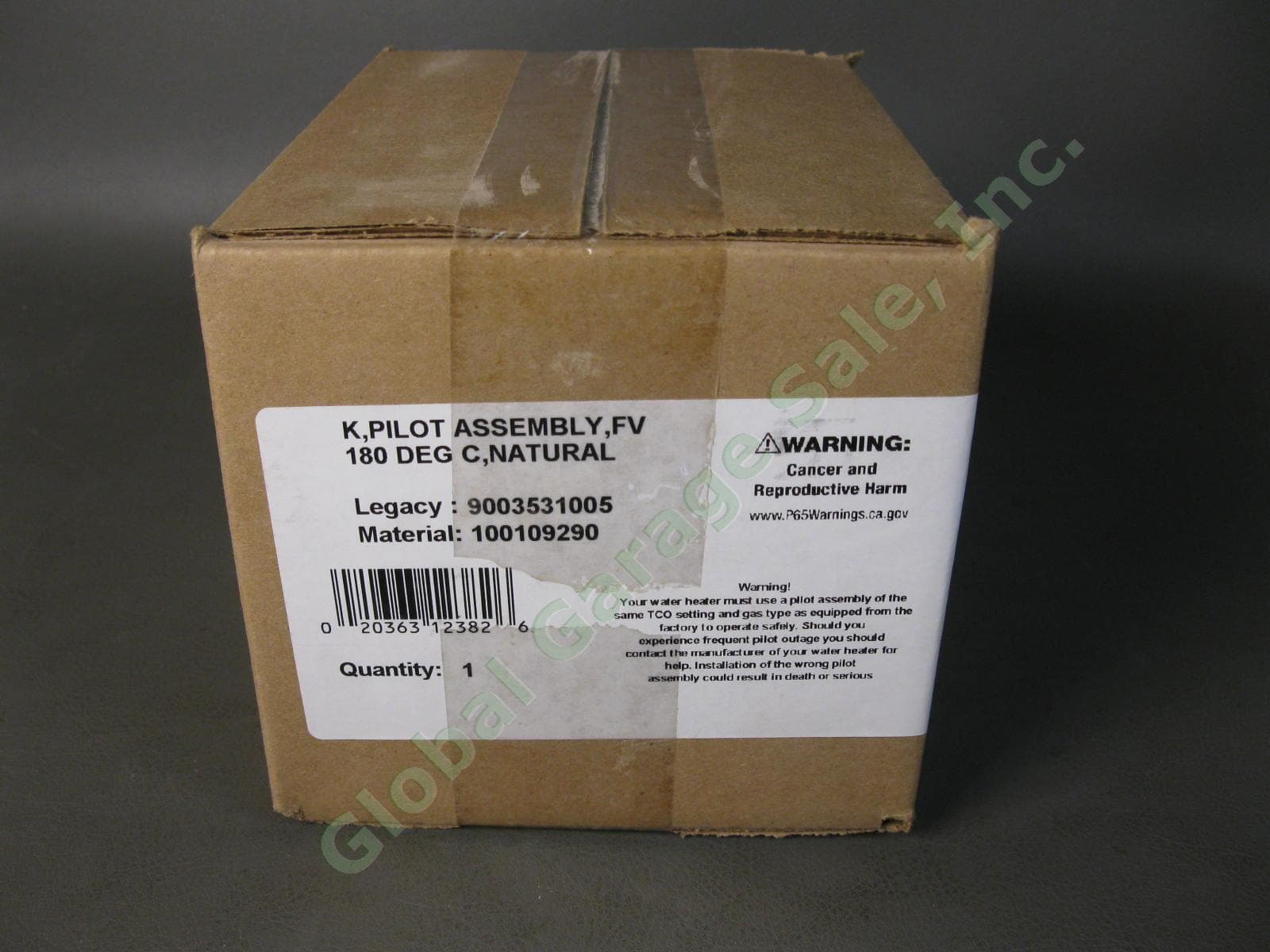 AO Smith 100109290 K FV Pilot Assembly 180 DEG C Natural Gas 9003531005 NG Kit