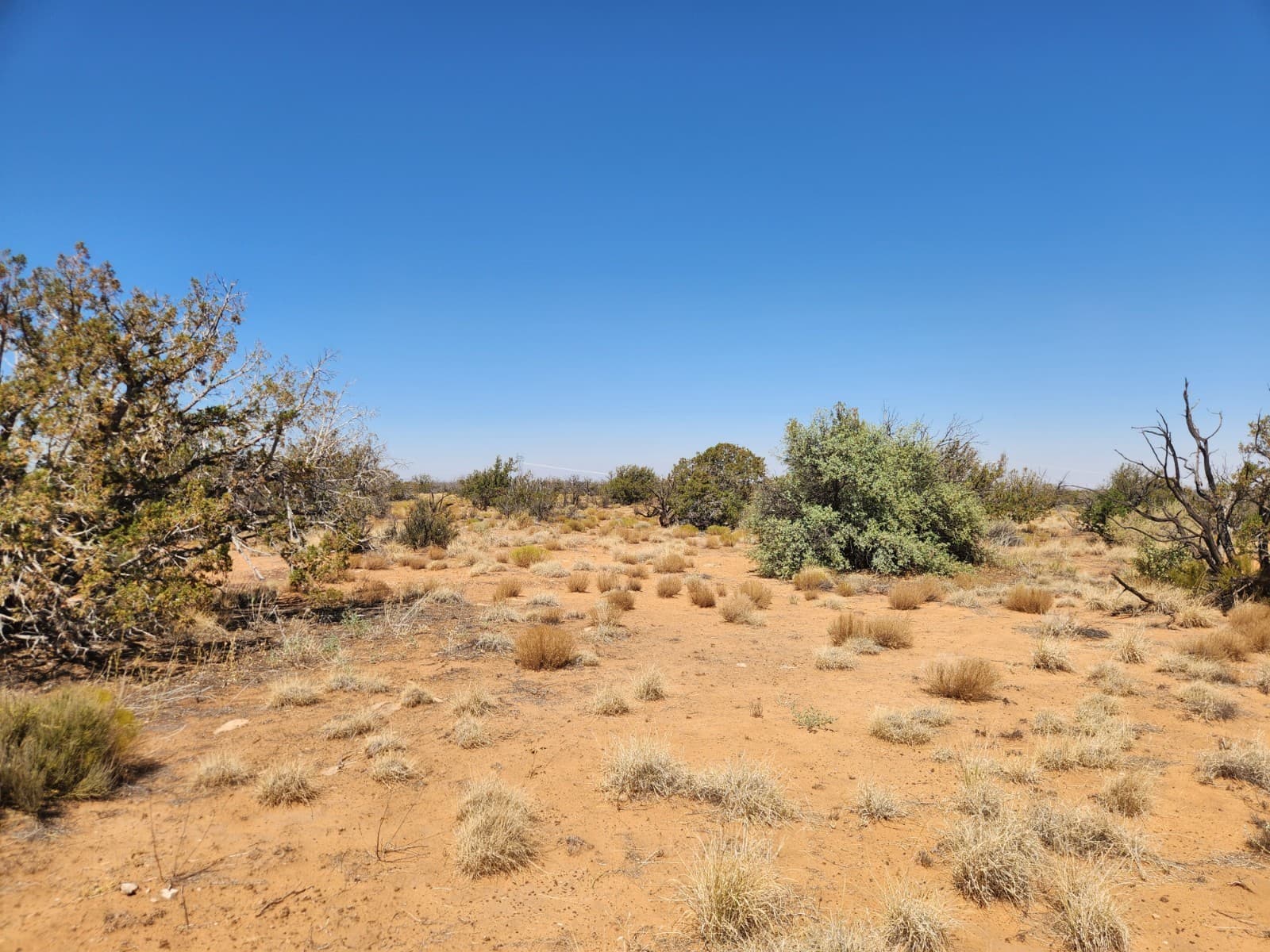 36 Acres Chevelon Canyon Ranch, Heber, AZ. Road Access, Well Water, Trees, Views 3