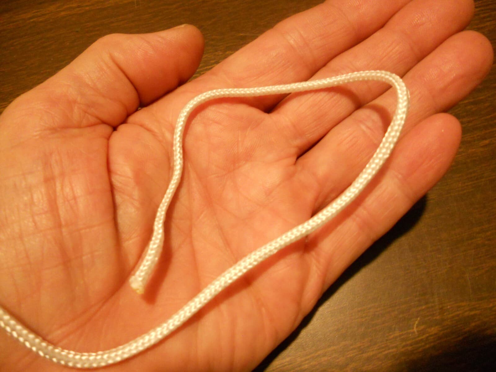 Wick Watering Cord Thick 40 ft.  Great for African violets Self-Water free ship 3