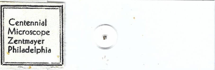 Centennial Microscope Zentmayer Philadelphia Microphotograph Microscope Slide 2