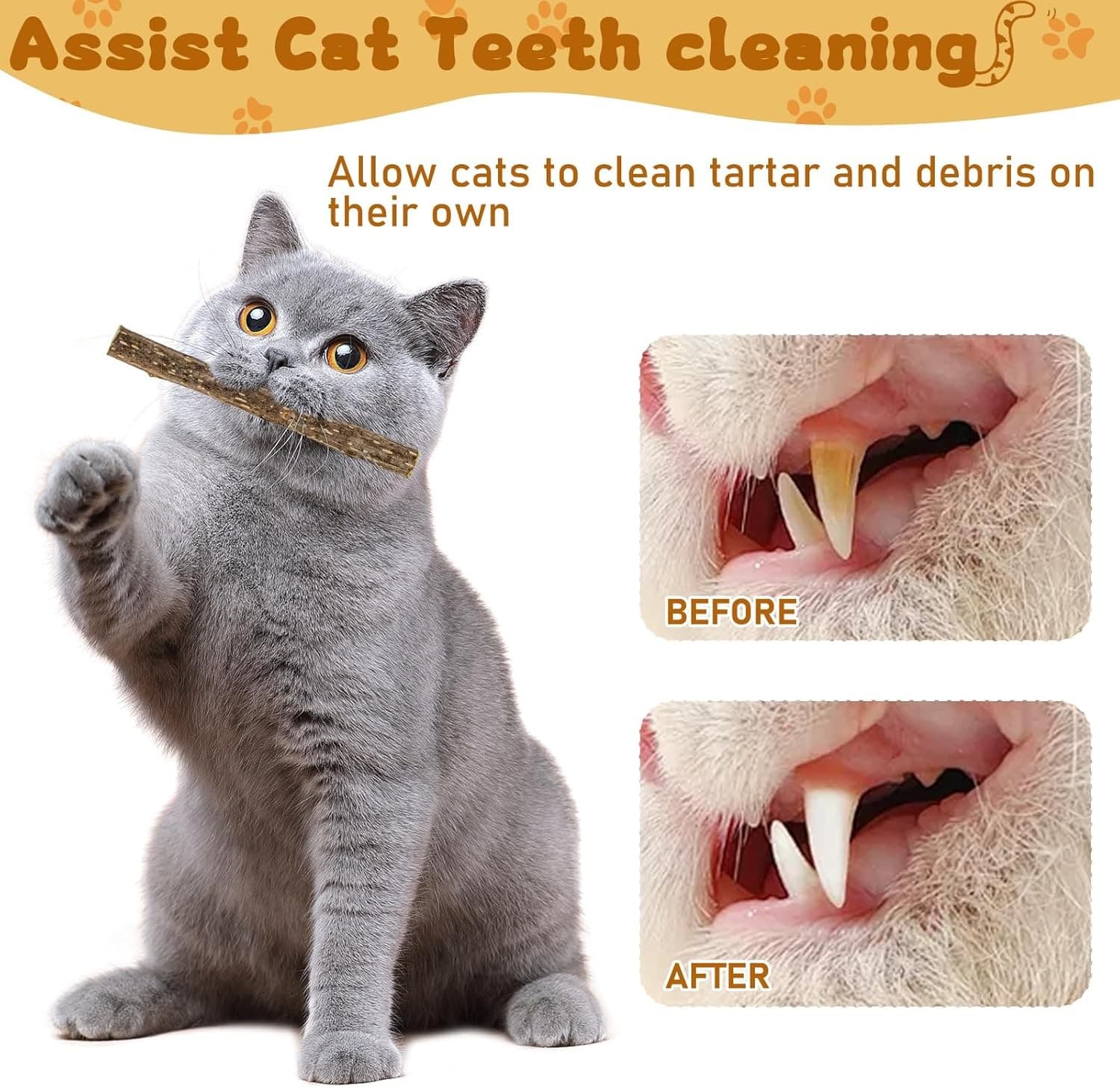 Silvervine Sticks for Cats, Natural Catnip Matatabi Chew 12 Count, Brown  5