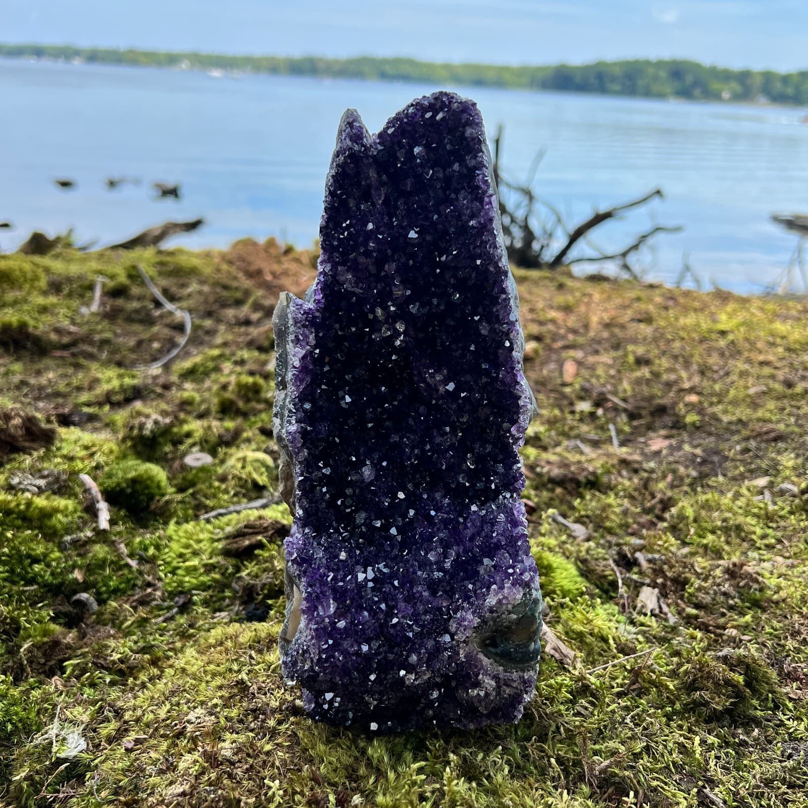 HUGE XXXL LARGE Amethyst Druze Crystal Cluster w/ Cut Base Specimen ~ 3.5-5.5 Lb 3