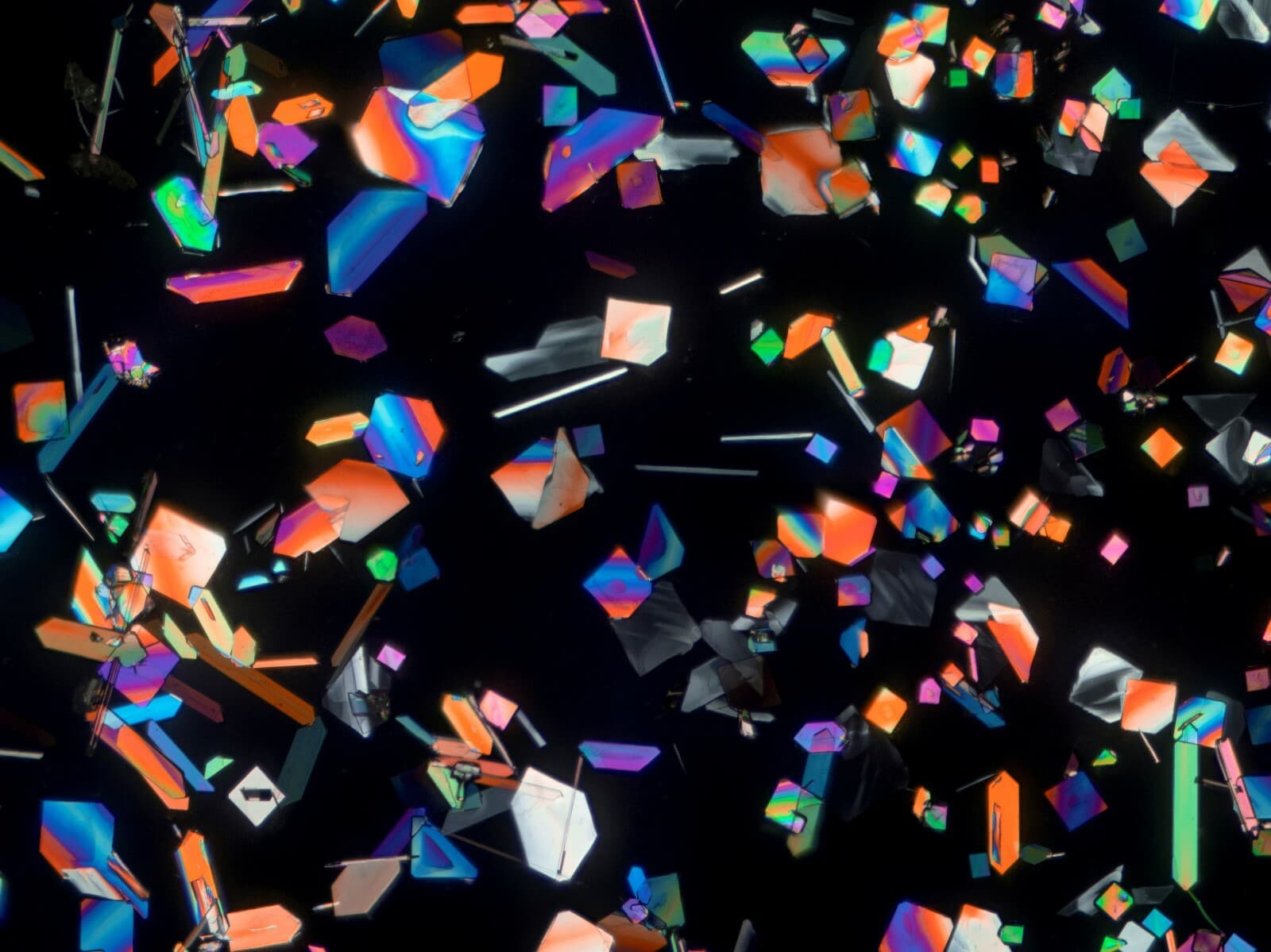 Microscope slide for polarized light  POTASSIUM BITARTRATE 2