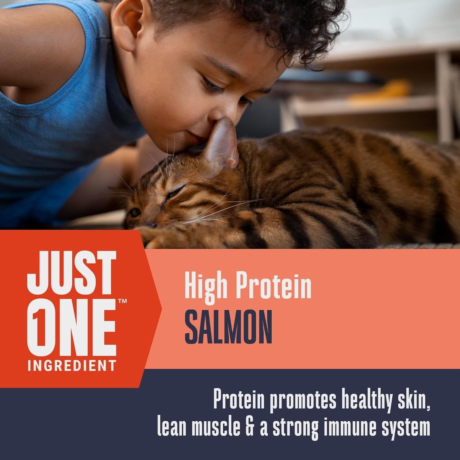 Whole Life Pet Just One Salmon - Cat Treat or Topper - Human Grade, Freeze Dried 2