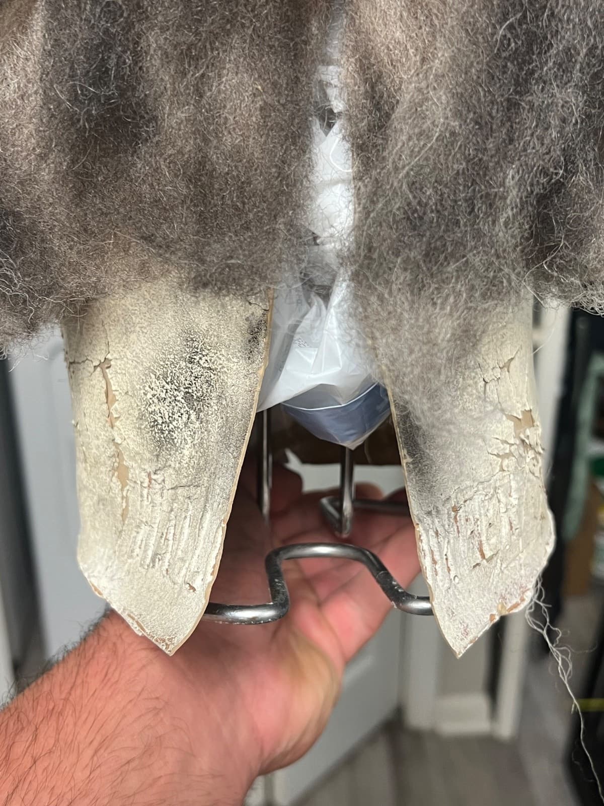 AHG. myers mask. not jason mask. 5