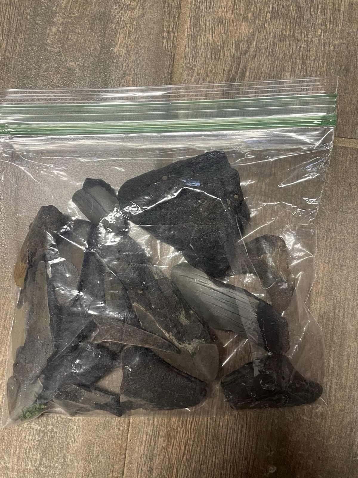 1 Lb Of Broken Megalodon Teeth Fossils!LOT Megalodon tooth fragment Shard Mix 3