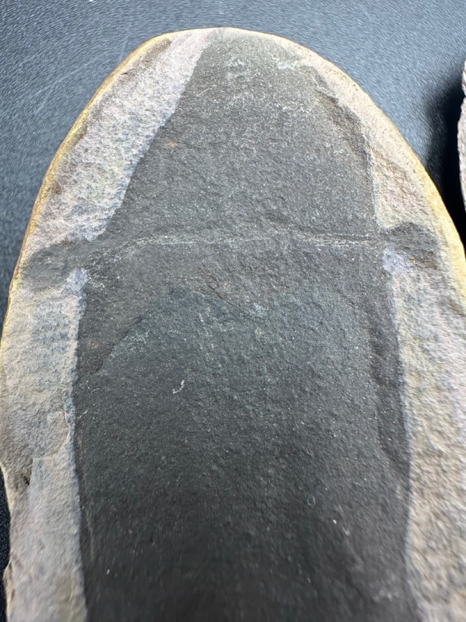 Tullimonstrum gregarium fossil - Carboniferous - Illinois - counter slab - rare 4