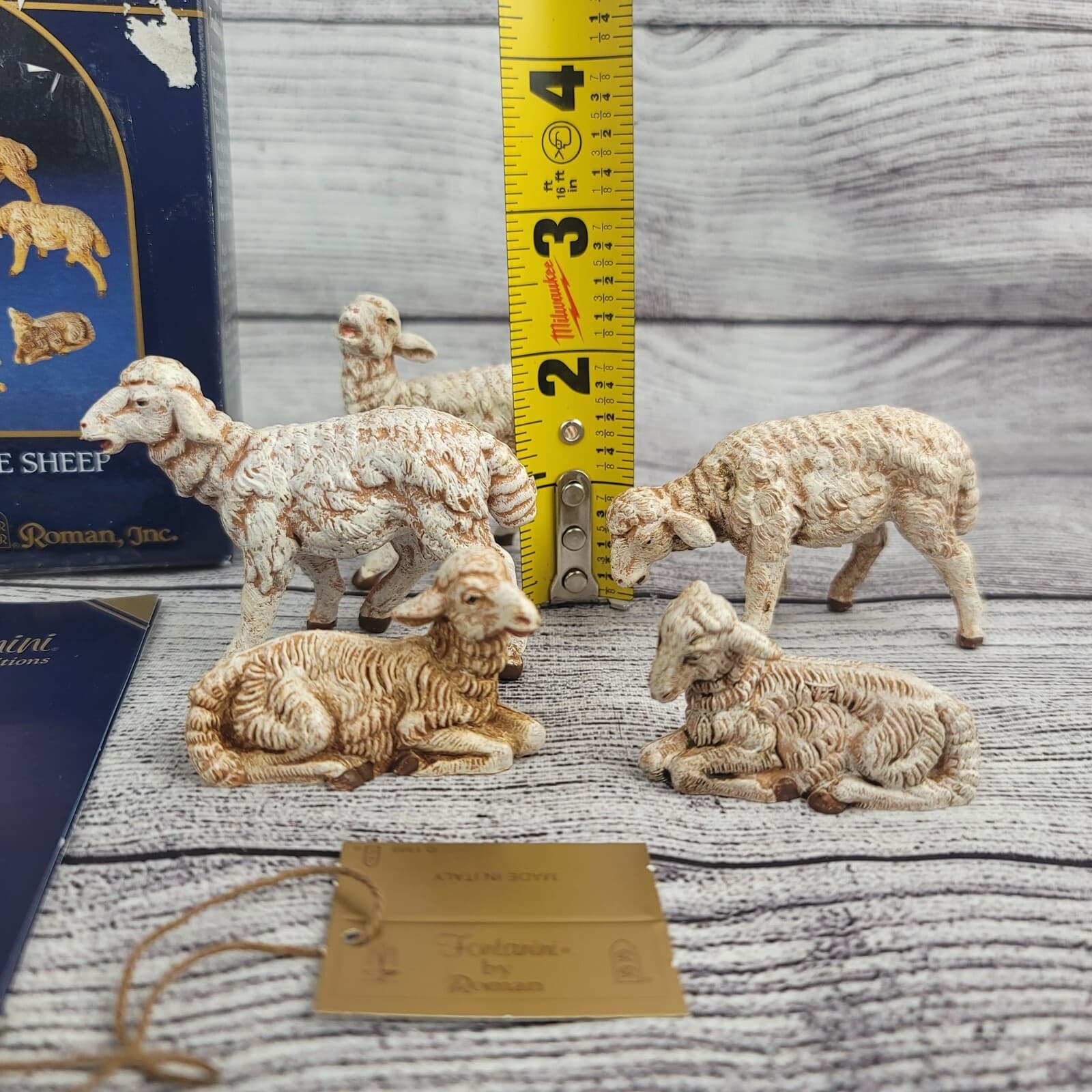 Fontanini White Sheep 5” Collection Figures Christmas Nativity 72539 Box Card 3