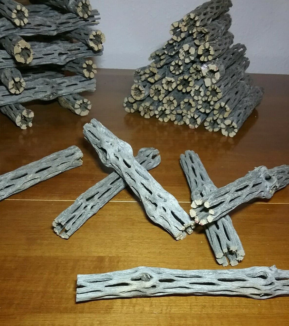 10 pcs 6" CHOLLA Wood Cactus | Organic | Shrimp Fish Aquarium | Decoration Craft 4