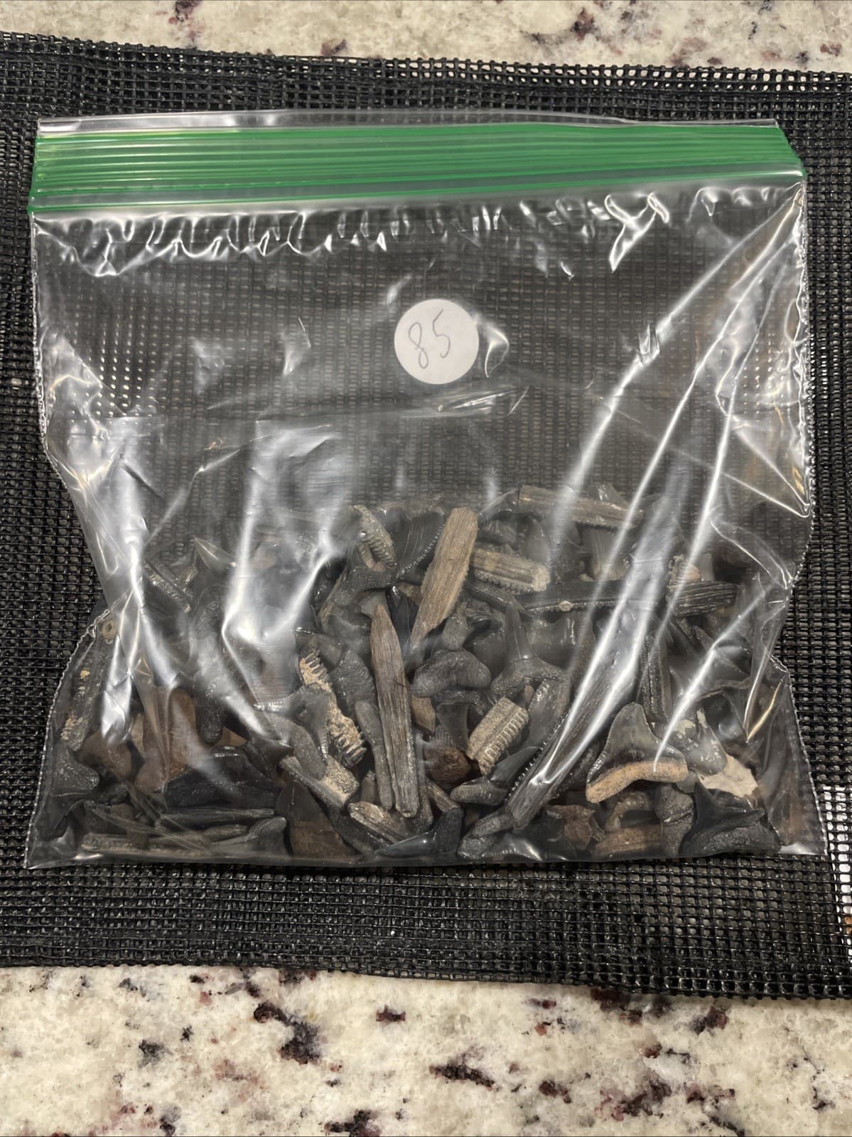 Huge Lot Of Florida Shark Teeth & Marine Fossils Mako Hemis Lemons Bulls Etc #85 3