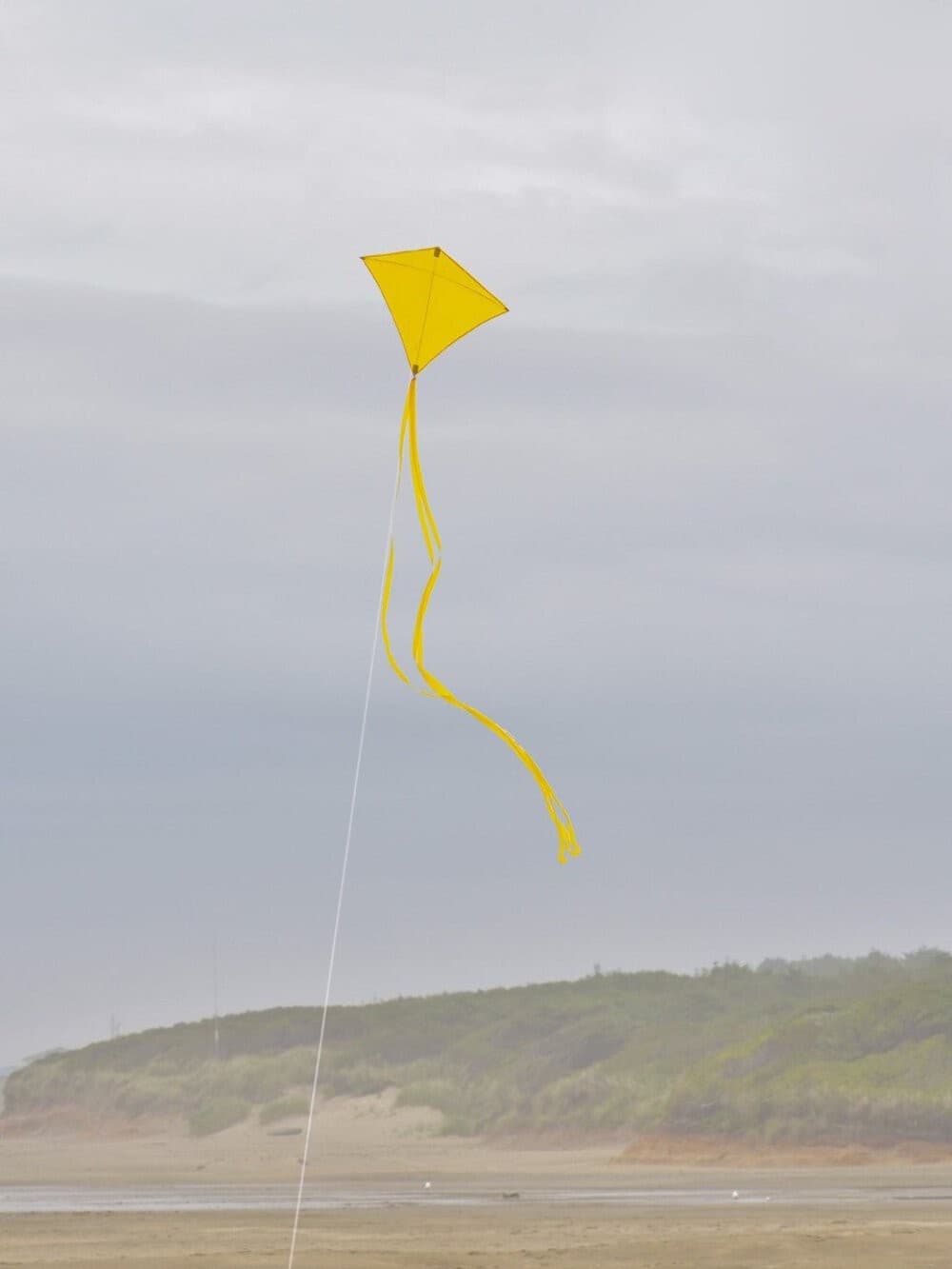 In the Breeze Yellow Colorfly 30" Diamond Kite Weather resistant ripstop fabric 3