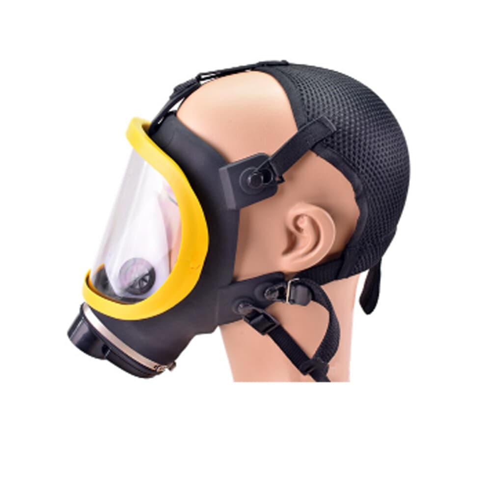 Electric Full Face Gas Mask Constant Flow Respirator Supplied Air Fed System us 5
