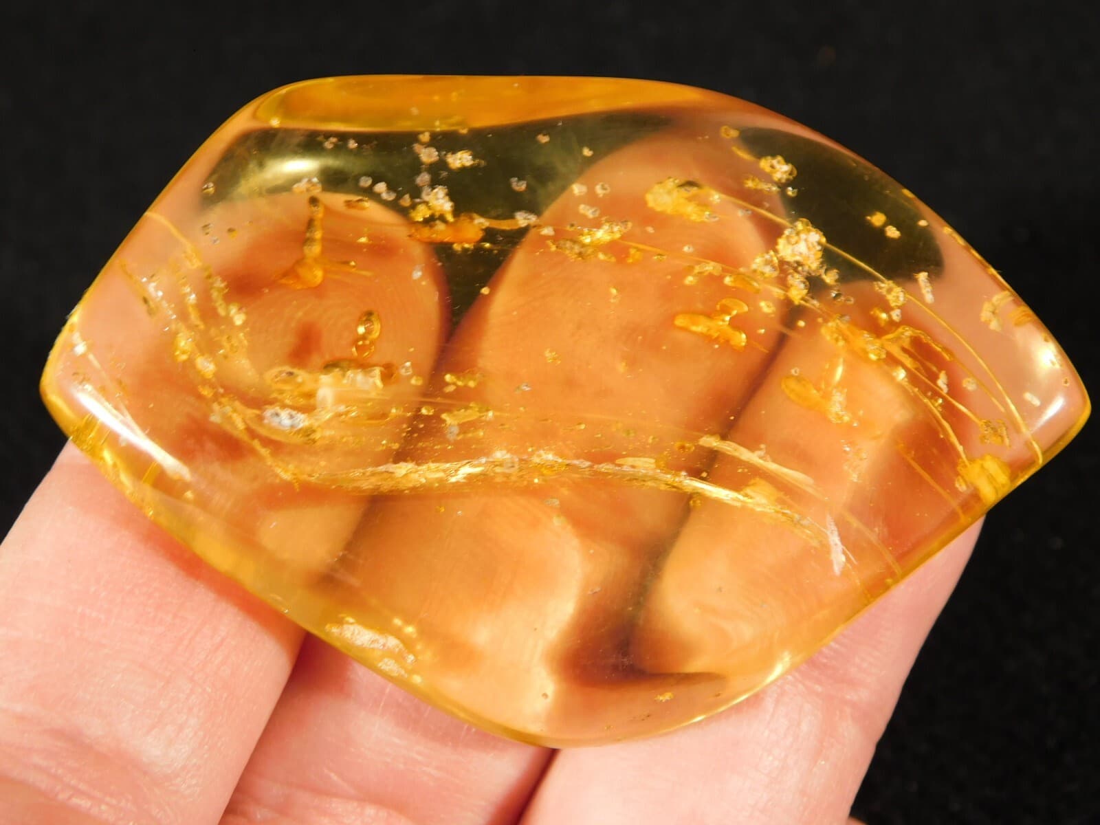 Polished Fossil AMBER With FOUR! Little TERMITE Fossils From Colombia 18.6gr 3