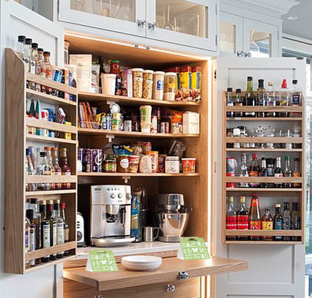 Sticky Glue Trap for Food and Cupboard Moths in Your Kitchen 6