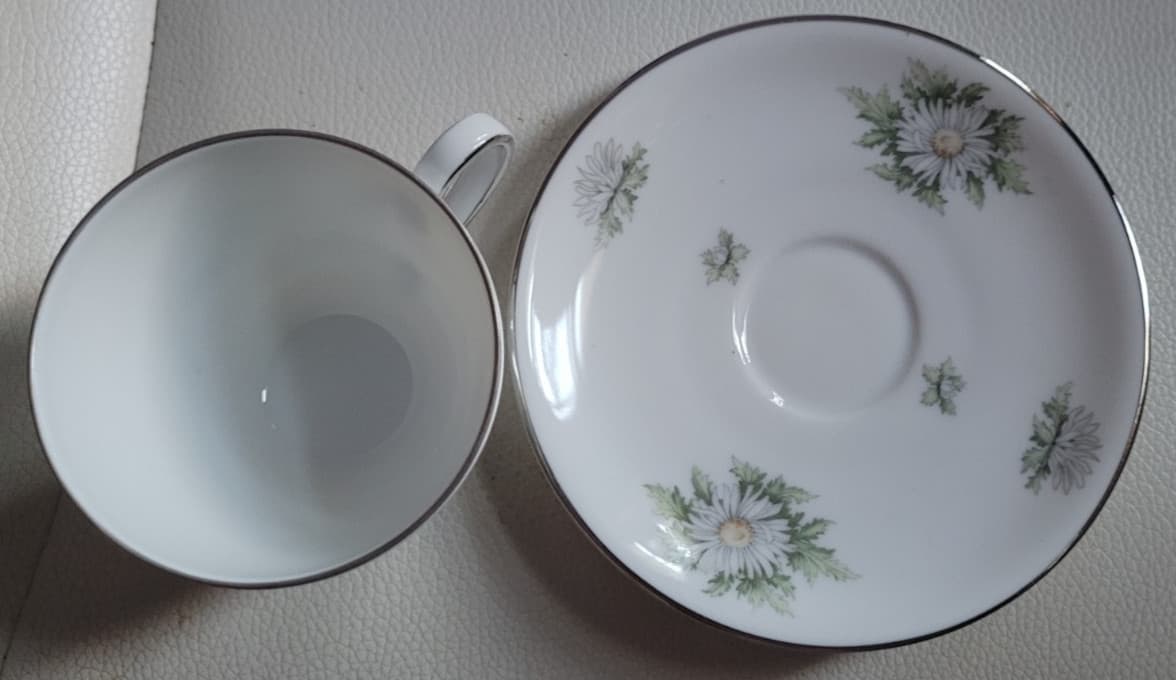 2 Pcs. Teacup  Saucer Set Silver Thistle Franconia Flowers Selb Bavaria 4