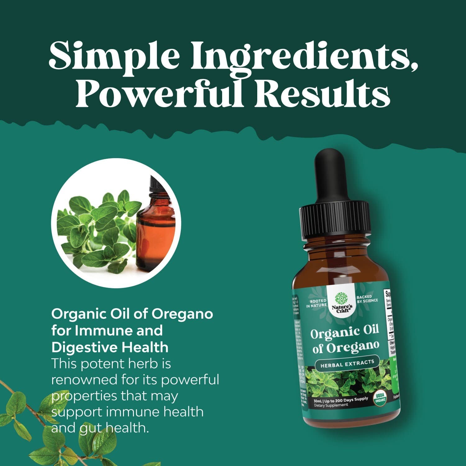 Oregano Oil Organic Liquid Drops for Adults and Kids - Super Concentrated USDA 5