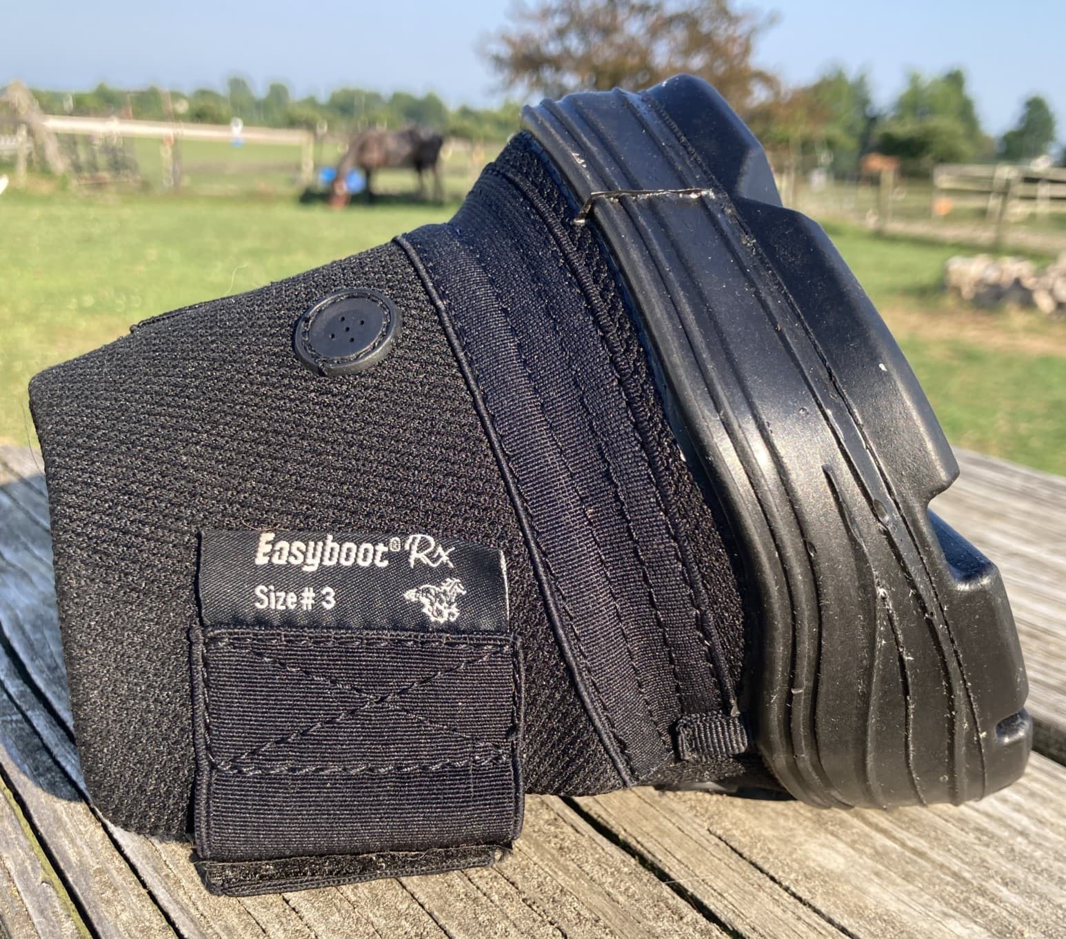 Easyboot Easy Care RX  Boot Size 3 therapeutic and support horse hoof boot NWOT 4