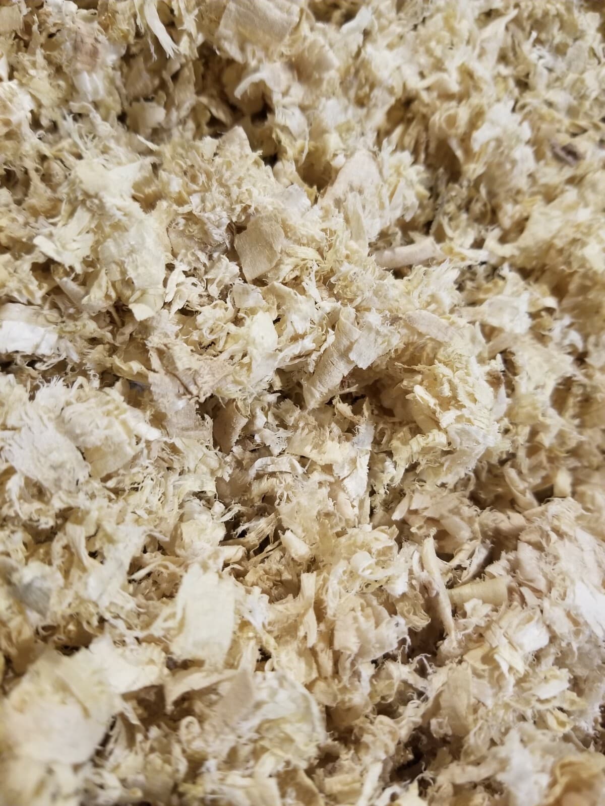 8 lbs Aspen shavings Pet Bedding!! 2