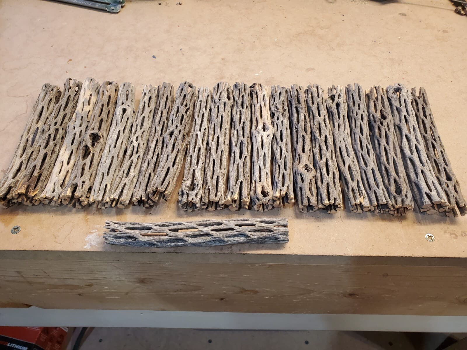 20 pcs 6" inch CHOLLA Wood Cactus | ORGANIC, Untreated | Shrimp Aquarium CRAFTS! 4