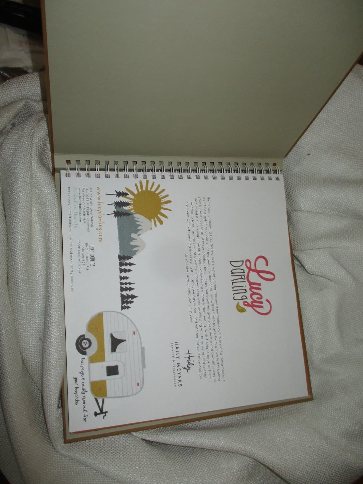 Babys First Year A Simple Book Of Firsts Little Camper  Lucy Darling bear 2