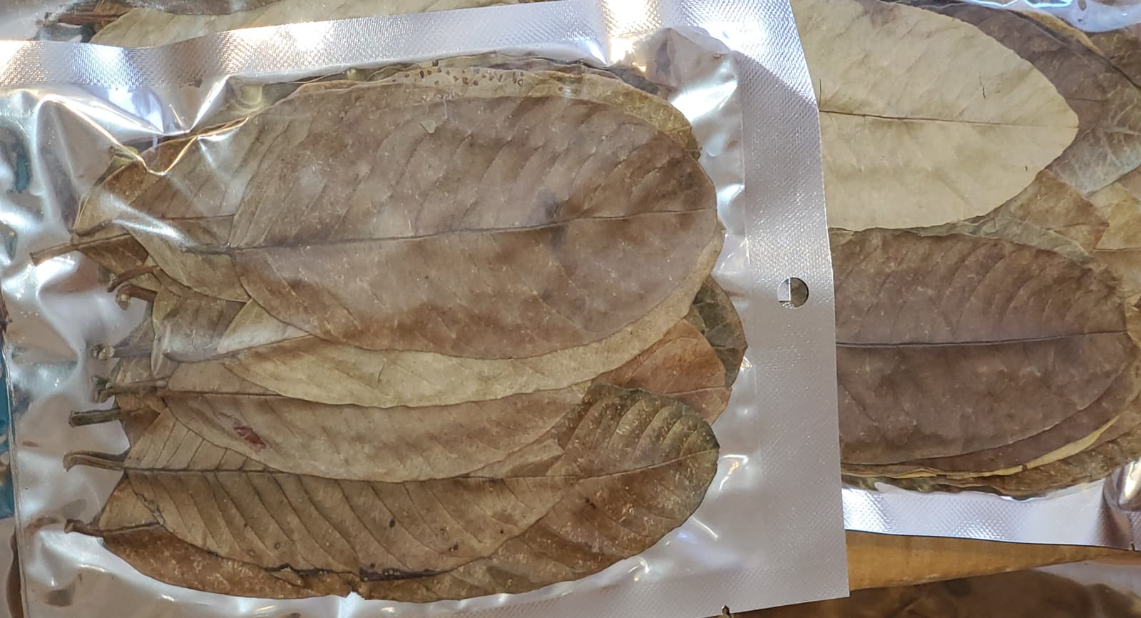 Guava Leaves, Pack of 20, for Aquarium, Betta, Shrimp, Blackwater, Leaf Litter 2