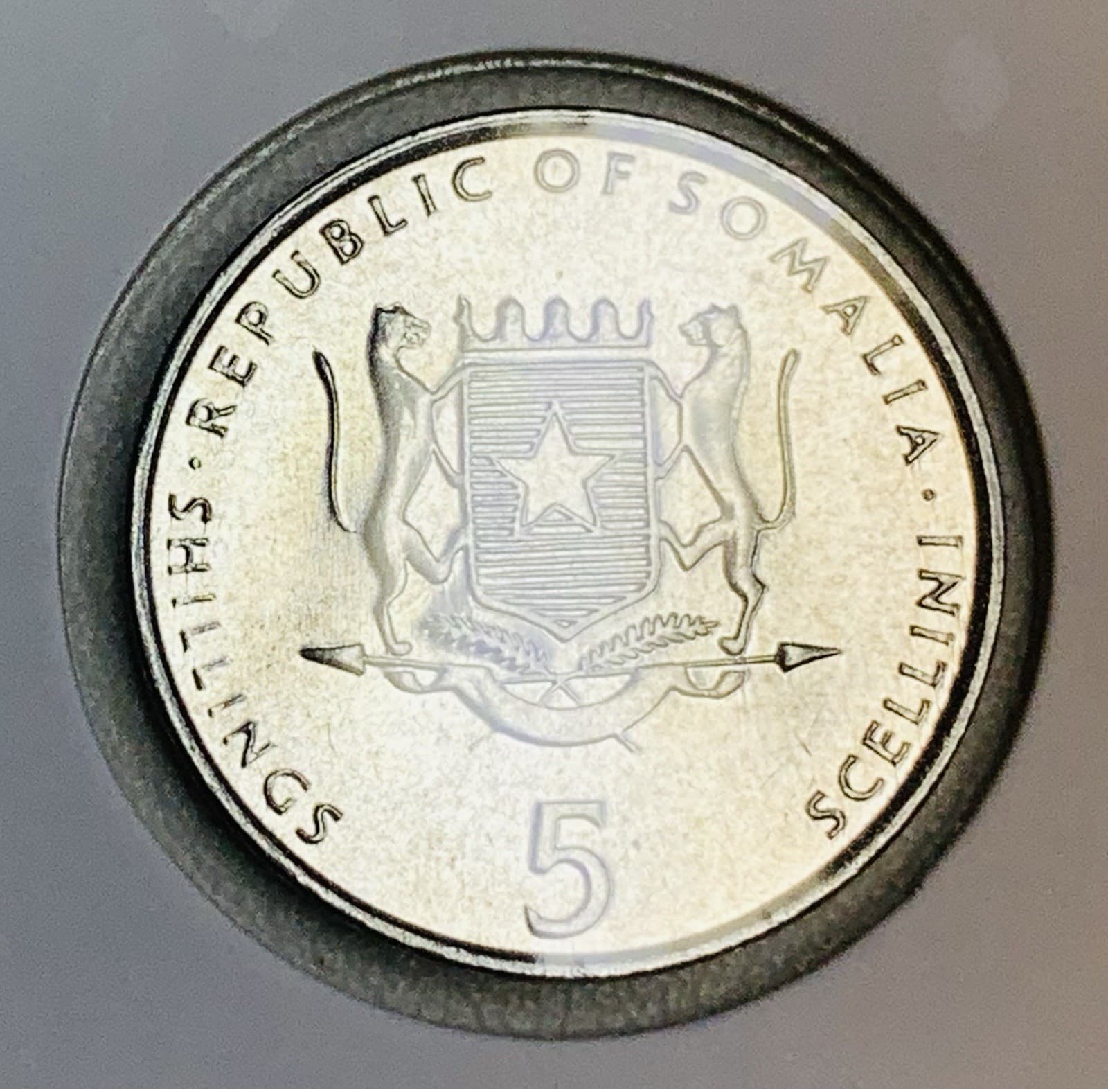 2002 Somalia 5 Shilling Elephant Coin African Wildlife Animal FAO KM#45 2