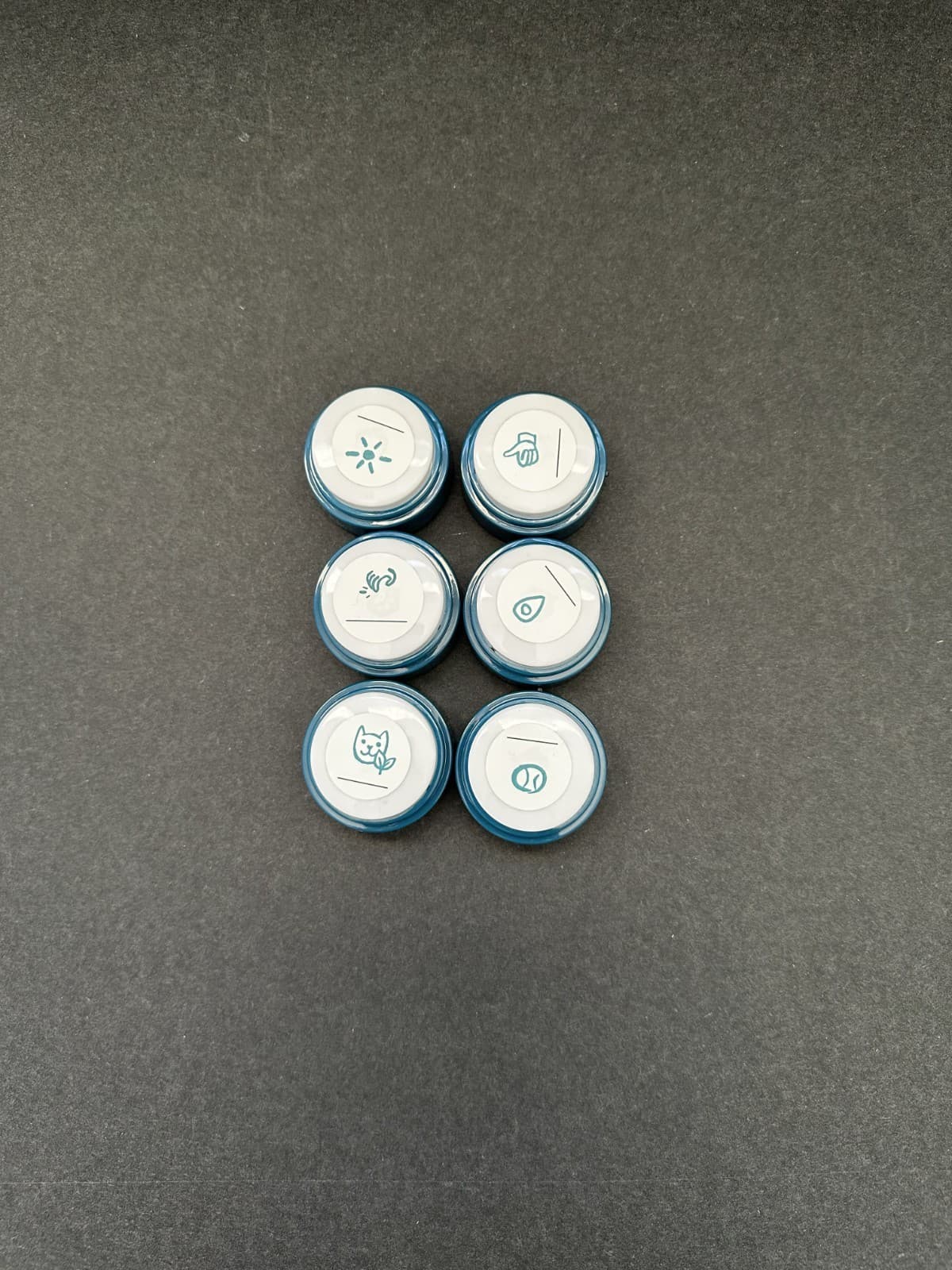 FluentPet Basic Buttons - Set of 6 - Open Box - Recordable - Used 3