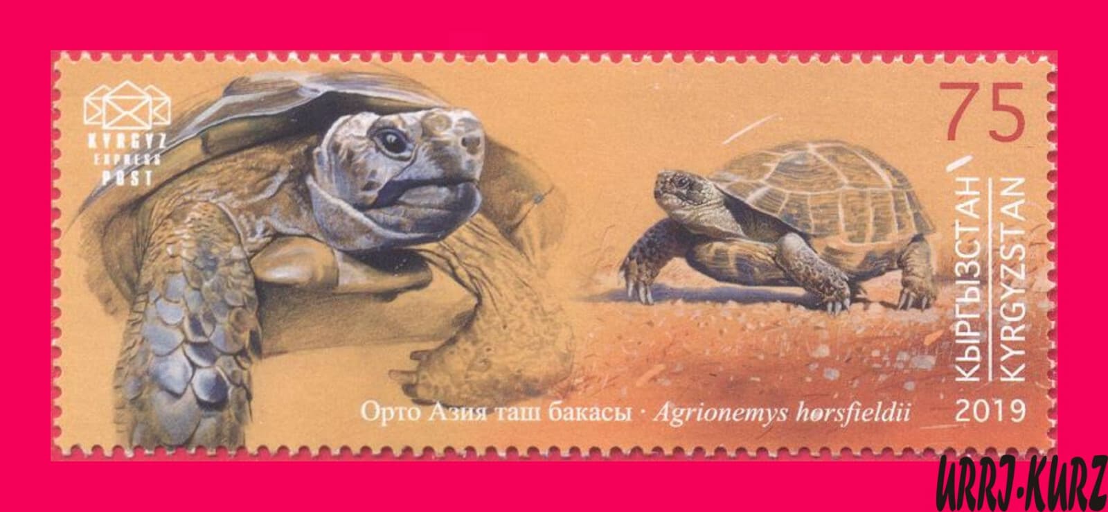 KYRGYZSTAN 2019 Nature Fauna Animal Reptile Amphibian Turtle 1v Mi KEP133 MNH