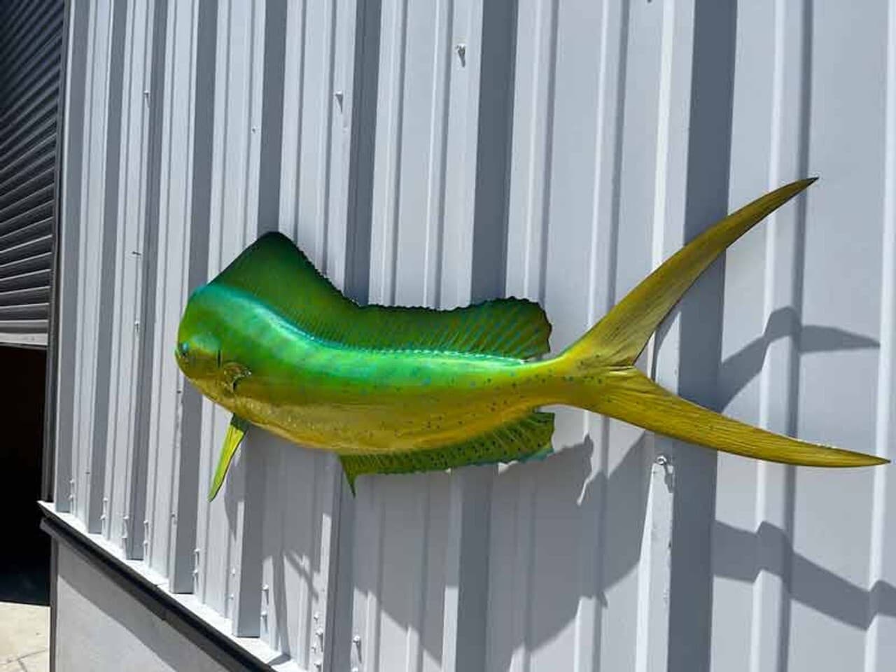 53" Bull Dolphin "Green Hornet" Half Mount - In Stock & Ready to Ship 4