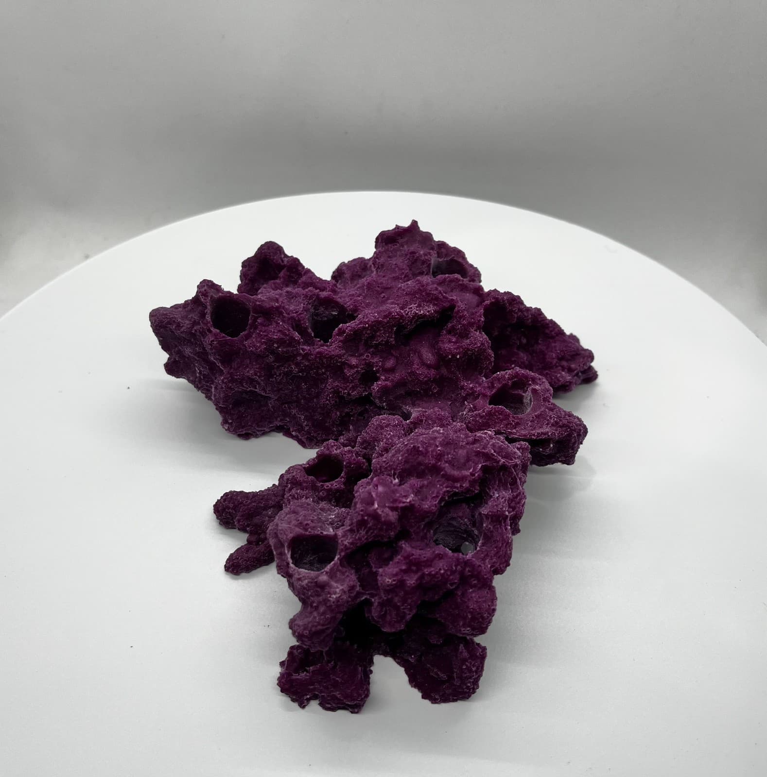 8 Hole Sandbed Frag Rack/Rock base for Live Coral Plug Ons 4