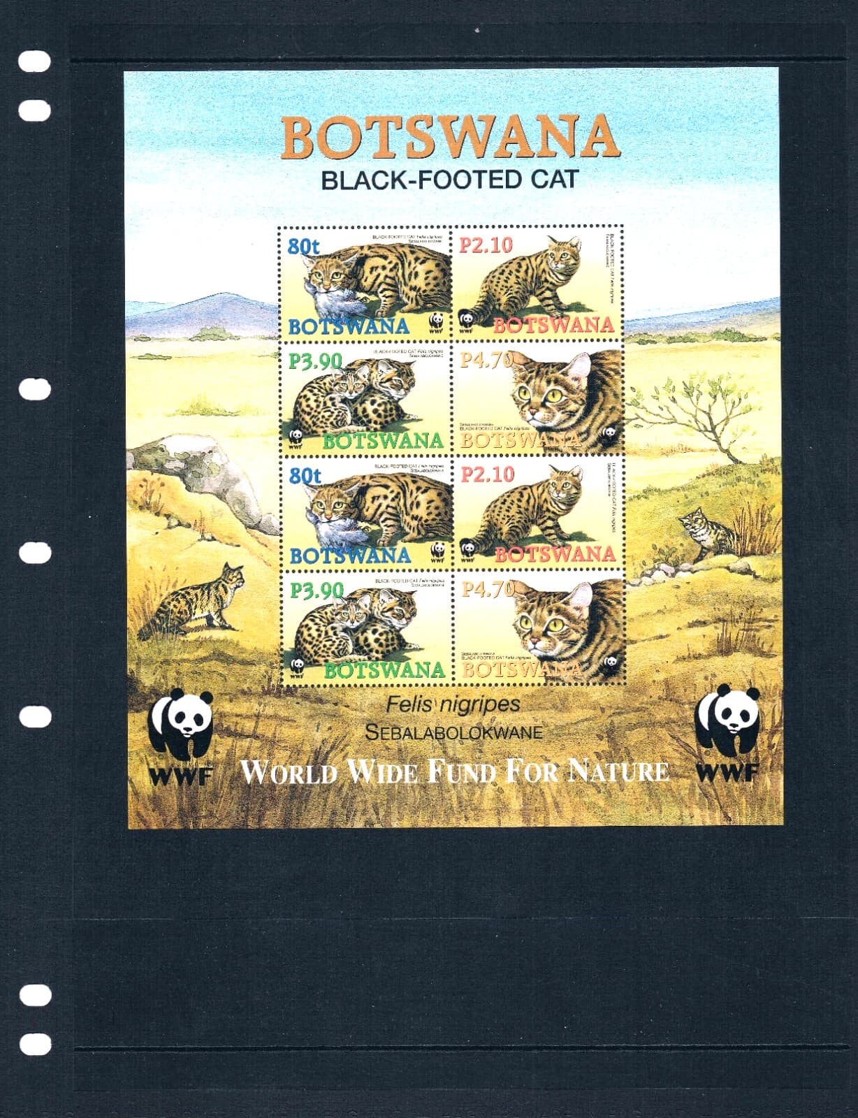$10.00 Scott Value - 2005 BOTSWANA Wild Cats s/s African Wildlife CV MNH NH UMM 2