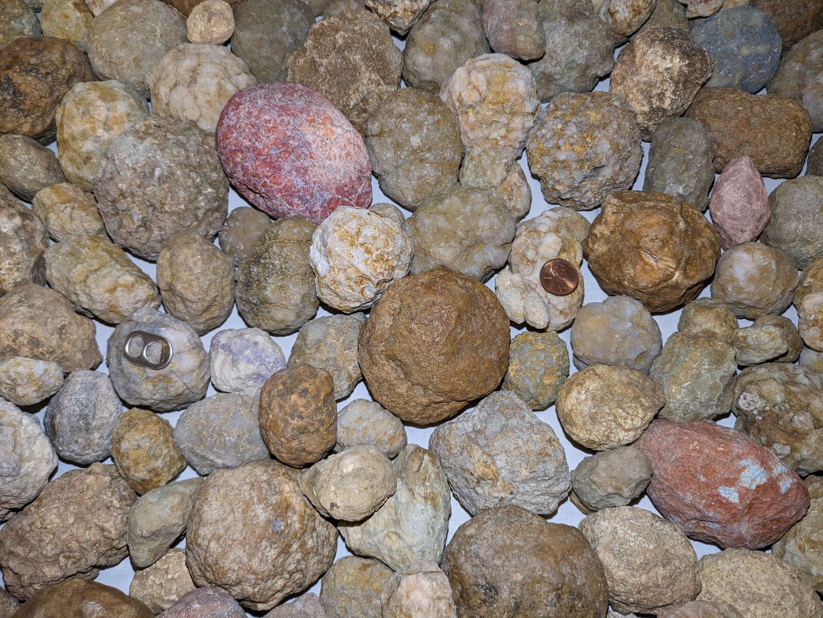 2LB Lot  Unopened Geodes/Agates/Nodules Semi Solid - Solid Lapidary (Qty: 8-12)