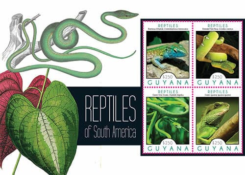 Guyana 2012 - Reptiles Of South America - Sheet Of 4 Stamps - Scott #4104 - MNH