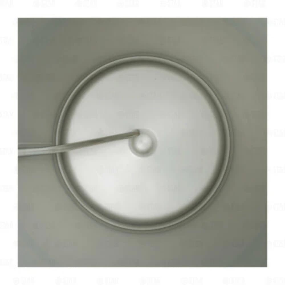 5 Gallon Ball Lock Corny Keg for Home Brewing, Beer, Coffee, or Kombucha 4