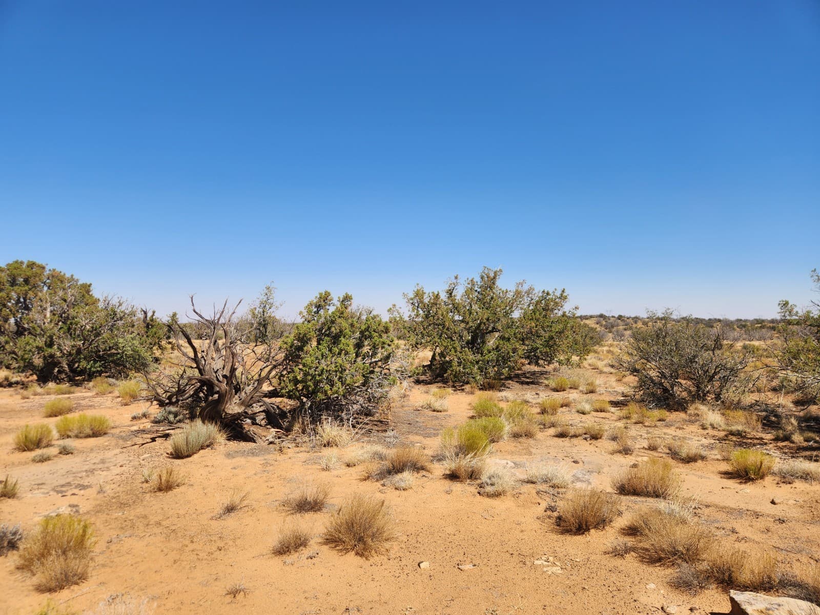 36 Acres Chevelon Canyon Ranch, Heber, AZ. Road Access, Well Water, Trees, Views 6