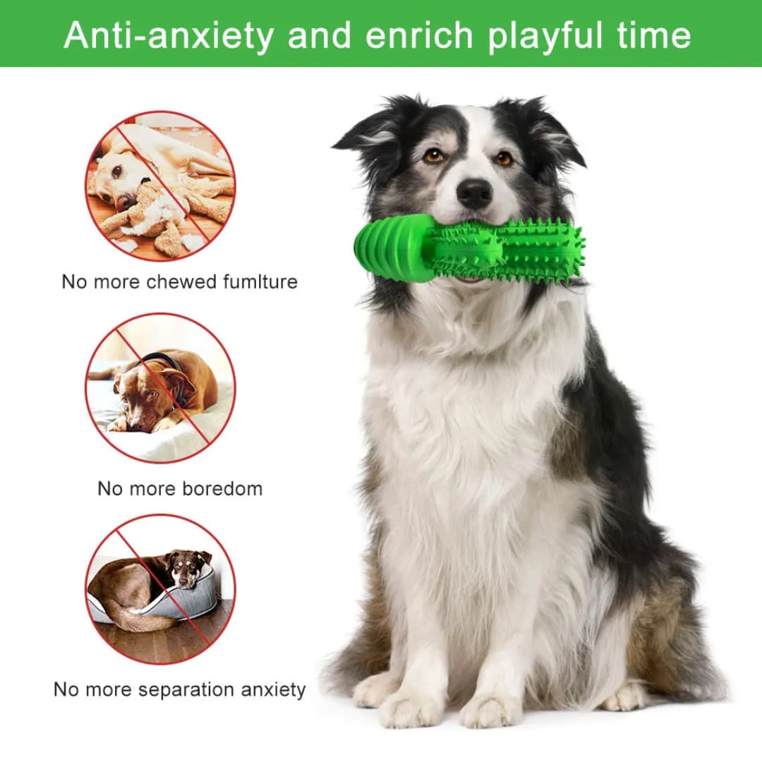 Squeaky Pet Cactus Toothbrush Canine Teeth Cleaning Dental Care Dog Chew Toy ++* 2