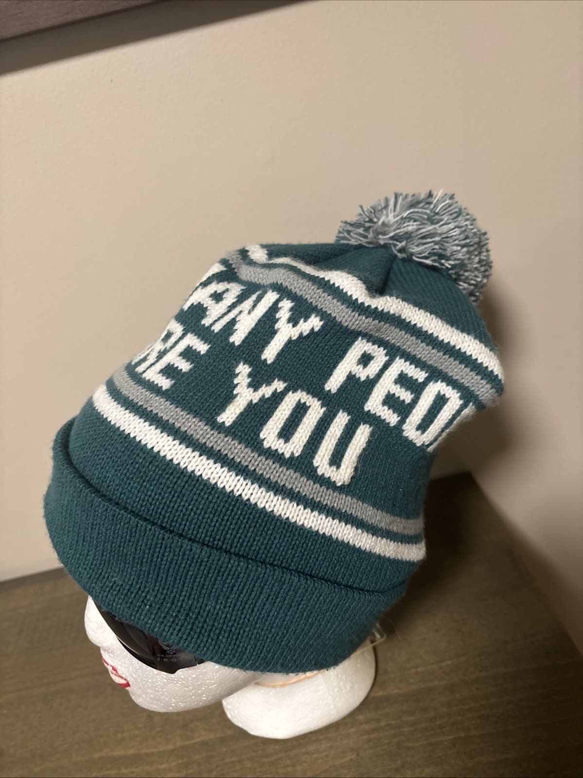 Phish Dry Goods Knit Beanie Hat - How Many People Are You - Winter Pom Cap Green 2