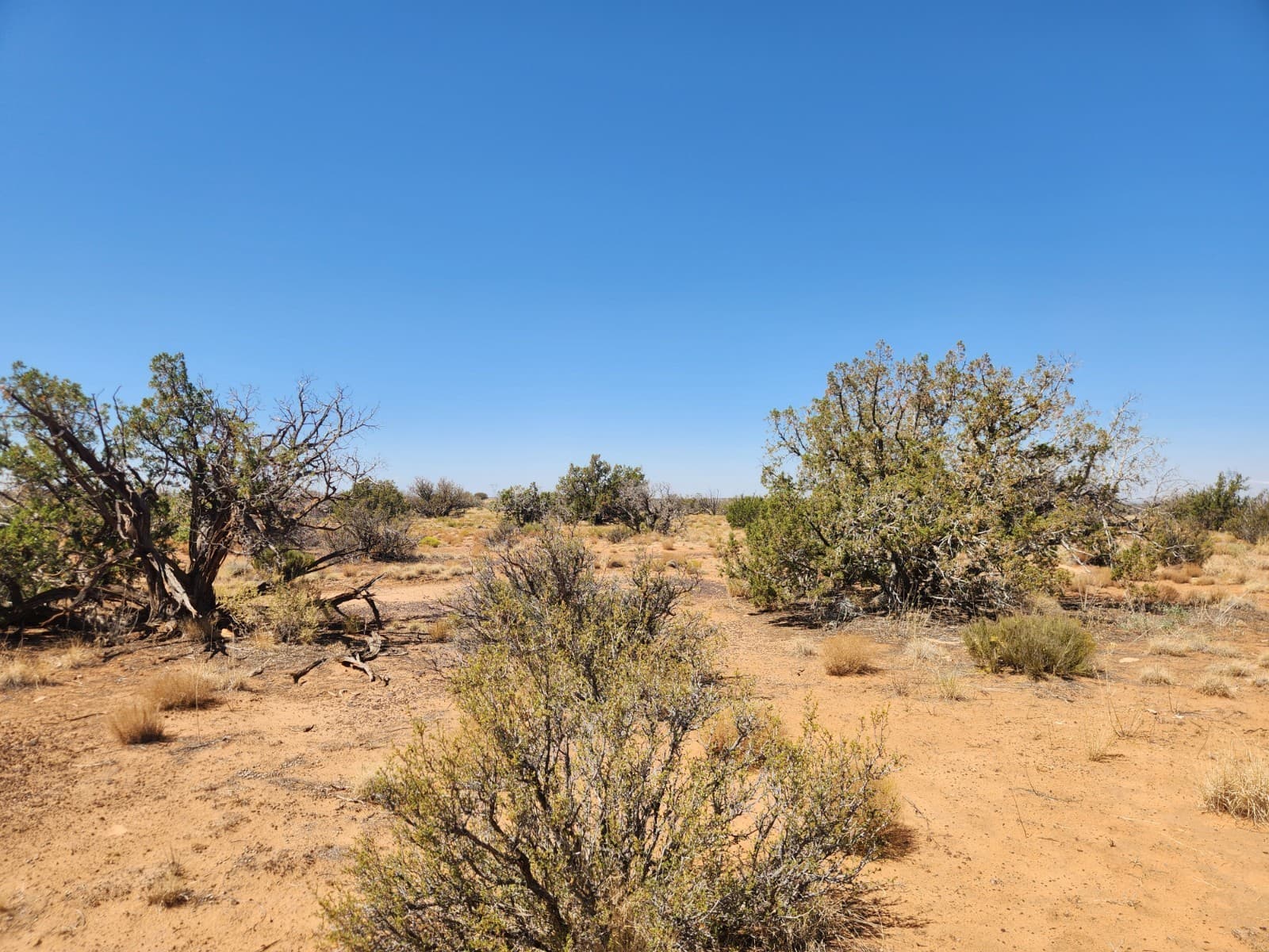 36 Acres Chevelon Canyon Ranch, Heber, AZ. Road Access, Well Water, Trees, Views