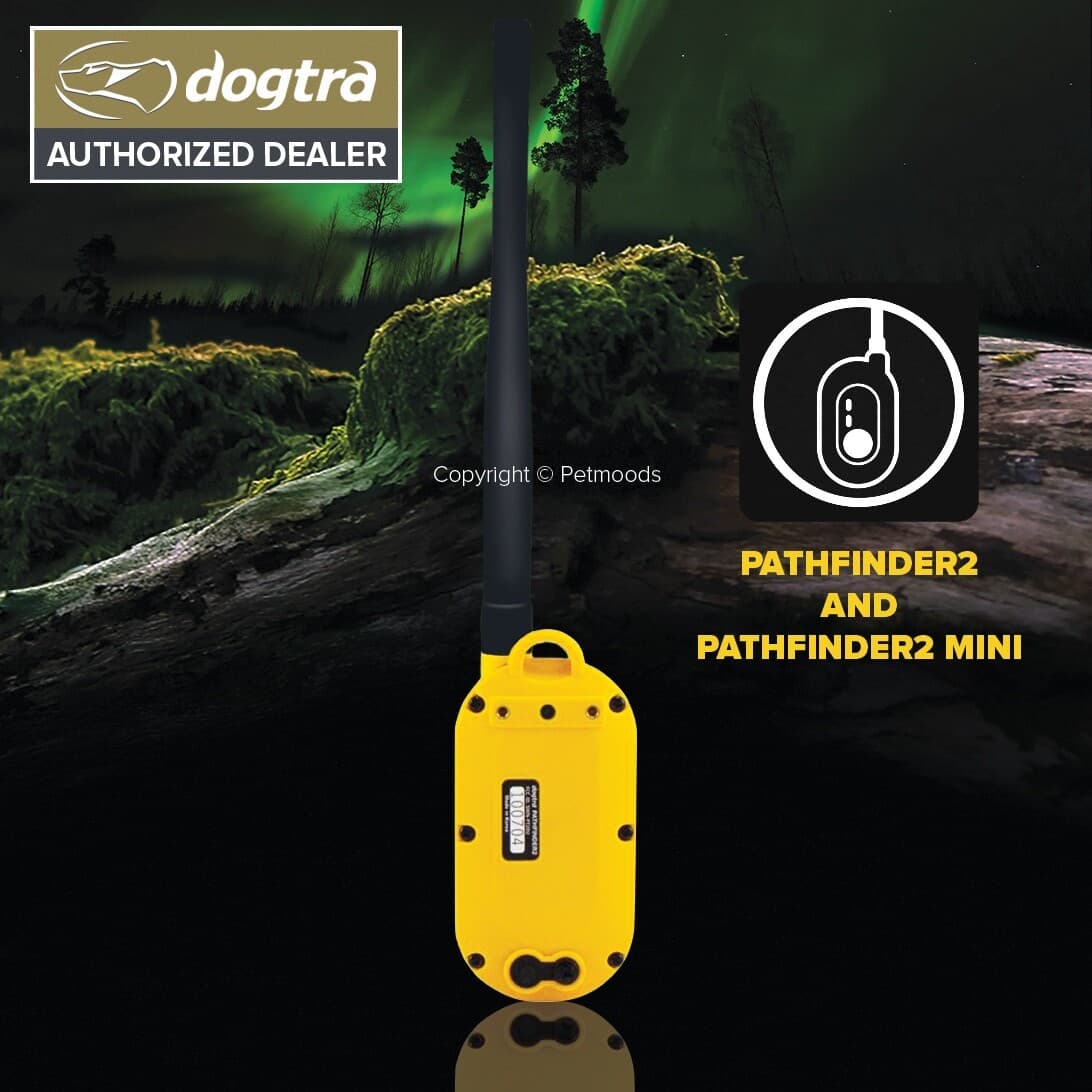 Dogtra Pathfinder2 GPS Connector Transmitter and Handheld Pathfinder2 Mini GPS 5