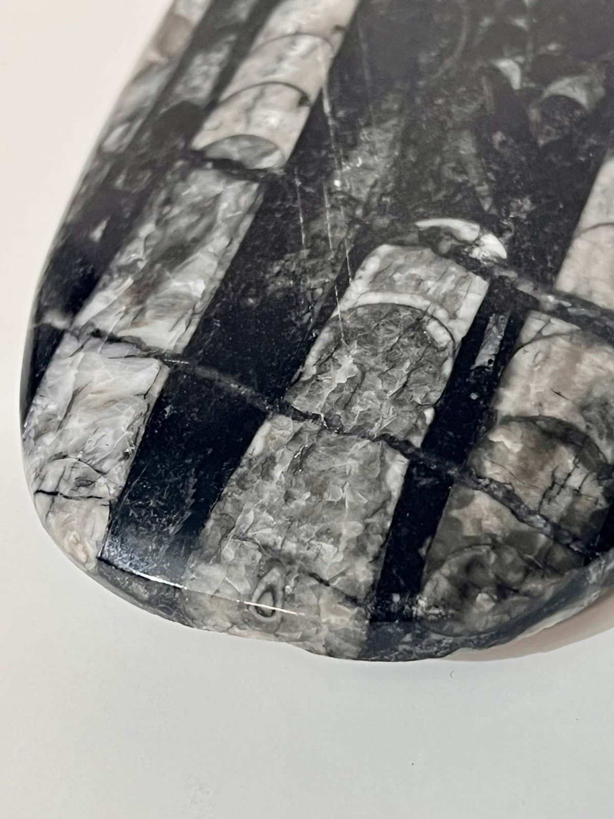 Orthoceras Fossil Specimen Polished Stone Spear Shape Black White Metaphysical 2