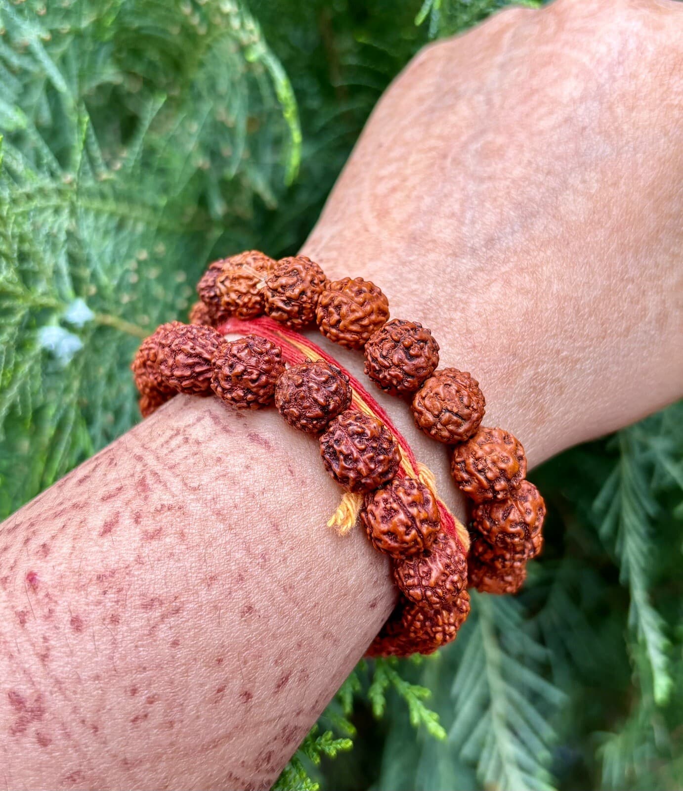 2 Pc Natural RUDRAKSHA 5 mukhi Rudraksh Bracelet Adjustable Unisex, 9-10 mm Size 4