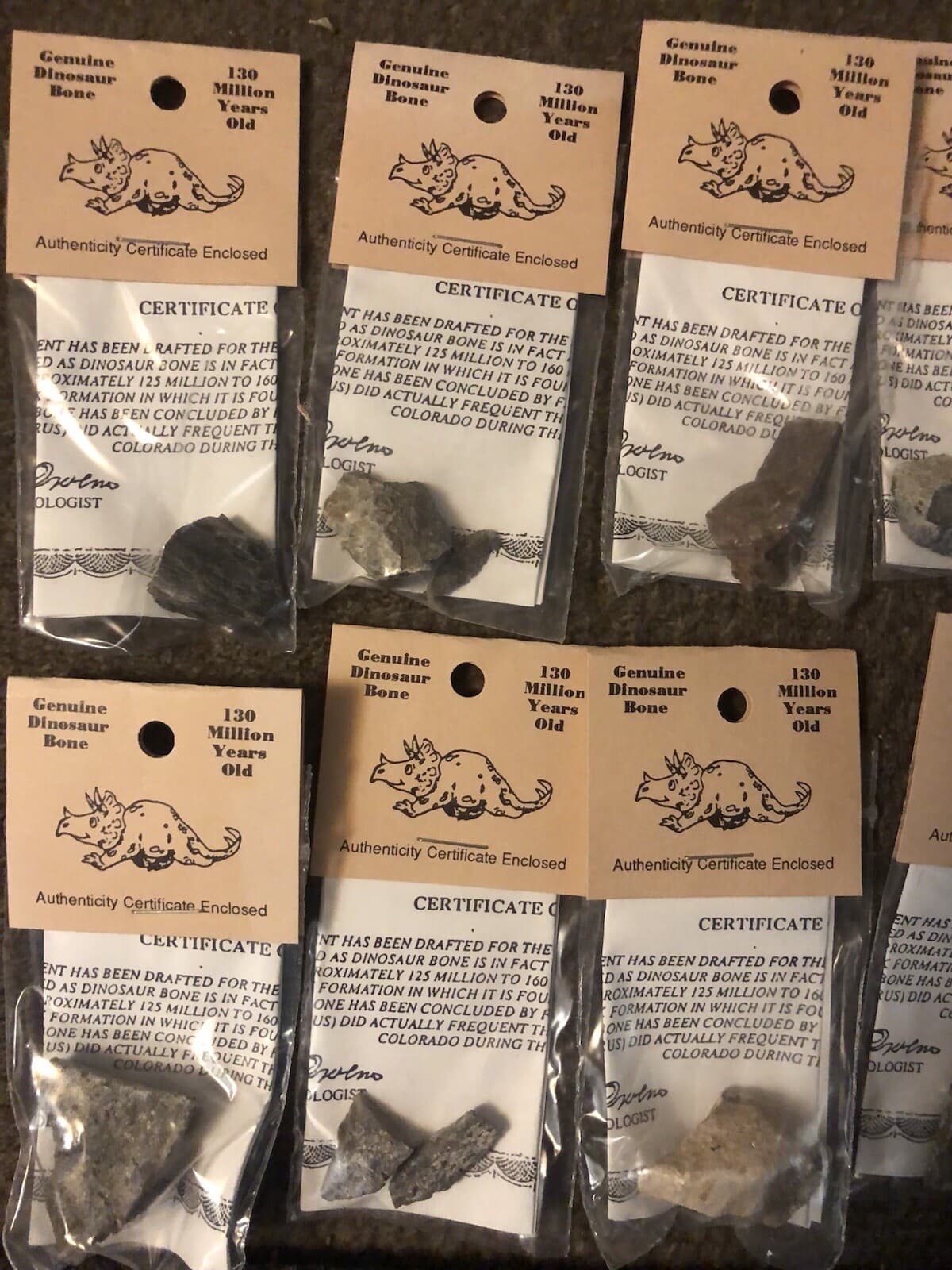 GENUINE DINOSAUR BONE SPECIMEN AUTHENTICITY CERTIFIED Collectors Fossil 5