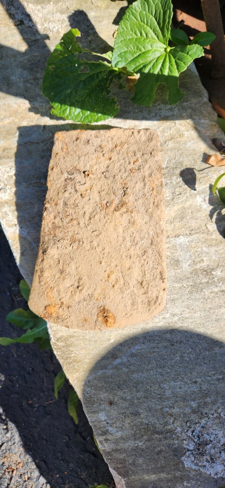 Lot Of Metal Detected Axes Sold As Is (Rustybold Axes)i Dont Know Whats Under... 3